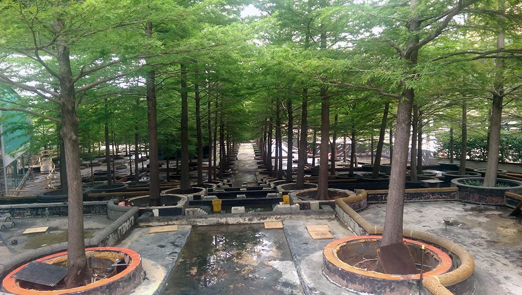 Seamless System Ensures Urban Oasis Remains Watertight